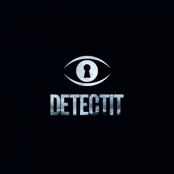 Организатор Detectit